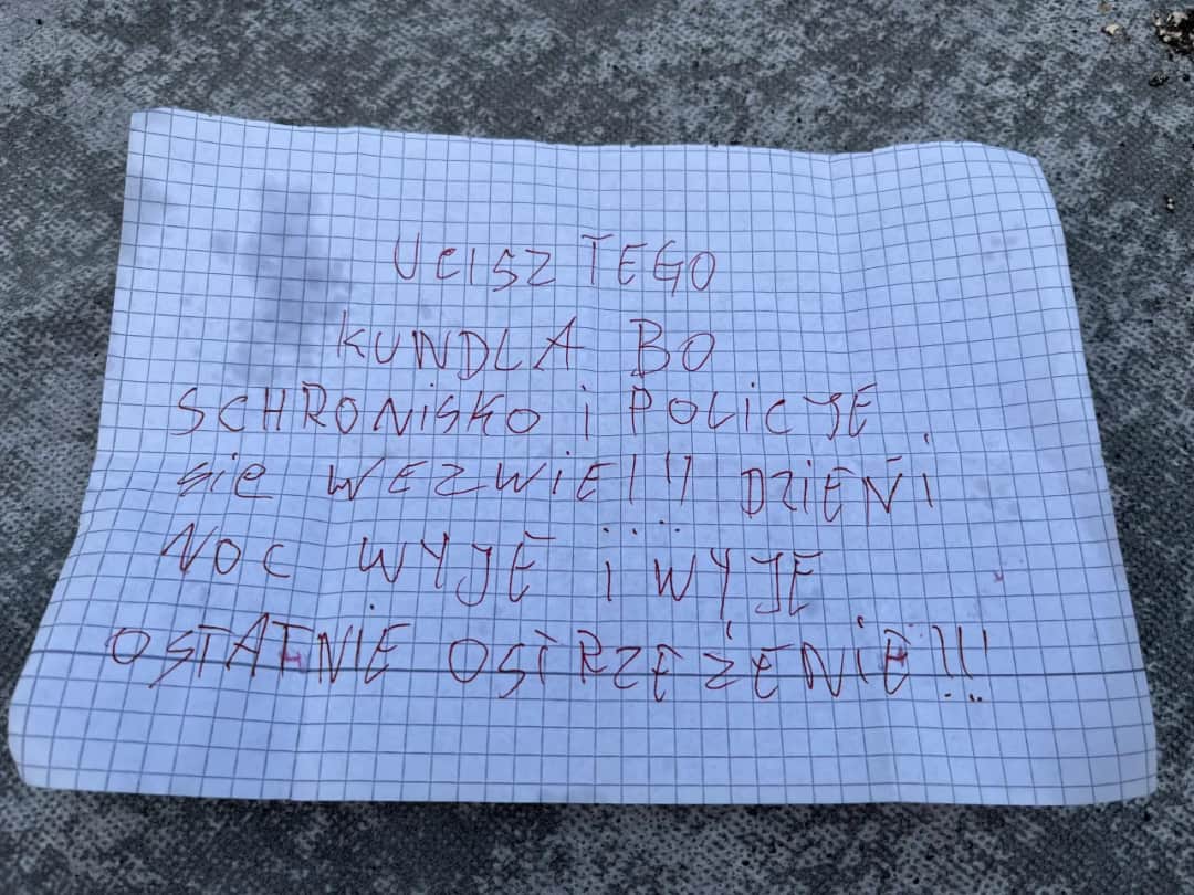 Jak zgłosić szczekającego psa w bloku i odzyskać spokój