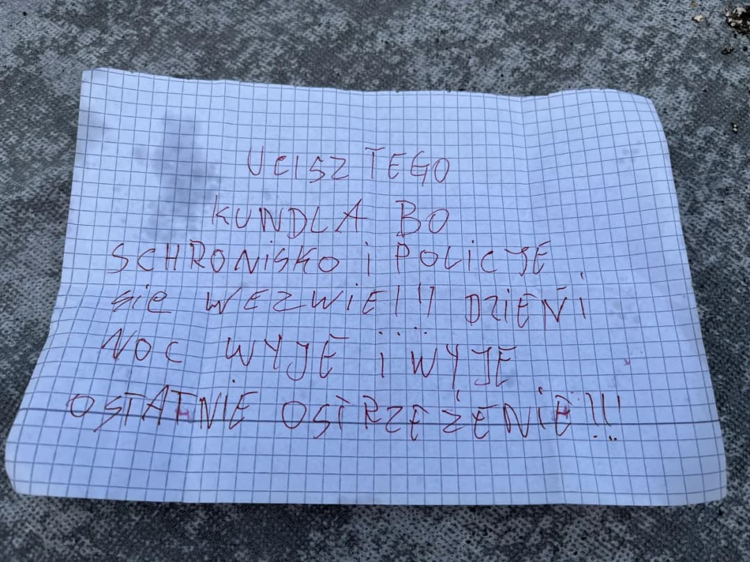 Jak zgłosić szczekającego psa w bloku i odzyskać spokój